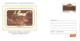 Romania / Postal Stationery / Argentine Whaling Factory - Walvissen