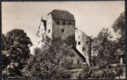 Wildegg Schloss - Wildegg