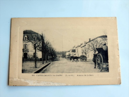 Carte Postale Ancienne : CASTELJALOUX LES BAINS : Avenue De La Gare , Animé - Casteljaloux