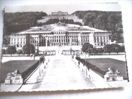 Oostenrijk Austria Österreich Wenen Wien Schloss Schön - Schloss Schönbrunn