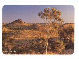 (334) Australia - QLD - Cloncurry Landscape - Outback