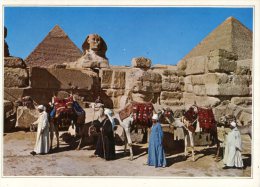 (158) Egpyt - Giza Great Pshinx And Keops Pyramid + Camel Caravan - Guiza