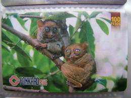 Philippines Animal Animals, Chip Phone Card PLTD - Filippine