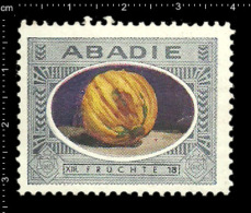 Original German Poster Stamp Cinderella Reklamemarke Abadie Tobacco Cigarette Tabak Zigarette Orange Fruit Obst - Tabacco