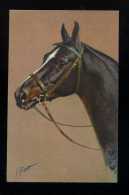 CHEVAL - CHEVAUX - HORSE - HORSES - CAVALLO - ILLUSTRATEUR - Horses