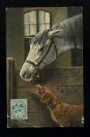 CPA GAUFREE  CHEVAL - CHEVAUX - HORSE - HORSES - CAVALLO -  AVEC CHIEN  SERIE 333 - Horses