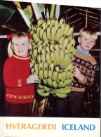 (240) Iceland Boy And Girl With Bananas - IJsland