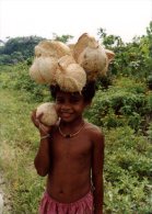 (240) Papua New Guinea - Children Carrying Coconut On Head - Papua New Guinea