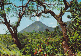 El Salvador PPC Volkan De Izalco Y Flor De Pascua"Krüger" Card Karte (2 Scans) - El Salvador
