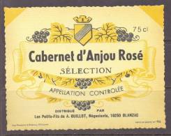 ETIQUETTE NEUVE VIN CABERNET D'ANJOU ROSE GUILLOT BLANZAC 11.5cmx9cm CHAVANNE & DODEVEY - Pink Wines