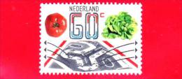 OLANDA  - 1981 - Esportazioni - 60 - Used Stamps