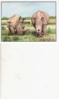 RINOCERONTE MNH - Rhinocéros