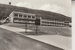 4971 HÜLLHORST - AHLSEN-REINSBERG, Haus Reinsberg - Minden