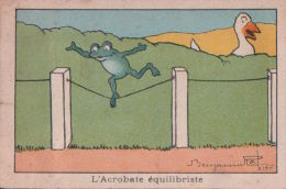 RABIER  ILLUSTRATEUR  ANIMAUX - Rabier, B.