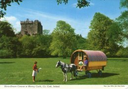 HORSE-DRAWN GYPSY CARAVAN AT BLARNEY CASTLE - COUNTY CORK - IRELAND - Cork