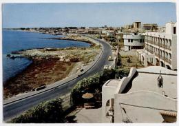 MANFREDONIA, PANORAMA DI SIPONTO, VG 1979, FORMATO GRANDE    **** - Manfredonia