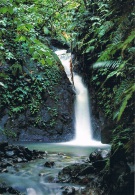 ANTILLES - West Indies - Une Cascade Dans La Forêt Tropicale / Waterfall In The Rainforest - Circulée, 2 Scans - Altri & Non Classificati