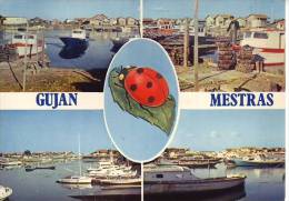 33 GUJAN MESTRAS - Multi Vues - D10 - Gujan-Mestras