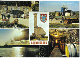 Delcampe - Carte Postale 37. Rochecorbon Les Vendanges  Trés Beau Plan - Rochecorbon