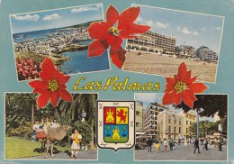 Delcampe - ZS43066 Las Palmas   2  Scans - La Palma