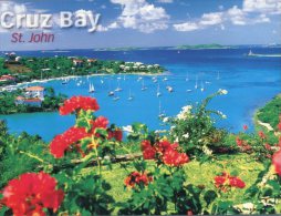 (110) US Virgin Island - St Thomas Cruz Bay - Isole Vergini Americane
