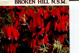 (folder 37)  Australia Folder Postcard - NSW - Broken Hill - Broken Hill