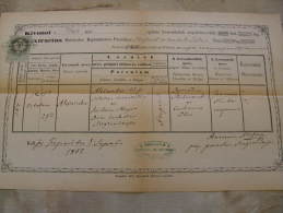 Old Document  1876 - Szegzárd Szekszárd - Tolna- Hungary - Alexander KISS -Barbara Hajós -  TM011.4 - Nascita & Battesimo