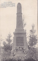 BRISCOL - EREZEE : Monument 1914 - Erezée