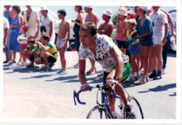 Photo - Cyclisme - Claveyloray - Alpe D'Huez 1986 - Cycling