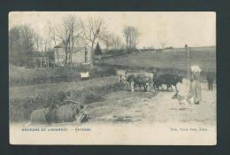 Environs De Libramont. Paysanne, Bêtail, Outils Agricoles. Voyagée En 1907. - Libramont-Chevigny