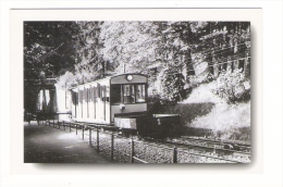 FUNICULAIRE  D' EVIAN - NEUVECELLE  ( En 1955 ) /  LE  VEHICULE  1  EN  LIGNE  /  CPM  édition  2002 - Funicular Railway