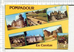 POMPADOUR -  Le Château  Et  L  Hippodrome -  7 Vues - Arnac Pompadour