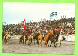 Mongolia. The Horse Competition. - Mongolei