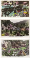 Lot Of 5, Victoria BC Canada, Butchart's Gardens, C1940s Vintage Colorized Real Photo Postcards - Victoria