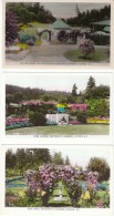 Lot Of 5, Victoria BC Canada, Butchart's Gardens, C1940s Vintage Colorized Real Photo Postcards - Victoria