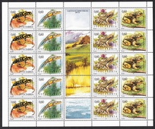 Yugoslavia 1995 Fauna, Animals, Reptiles, Amphibians, Triton, Frogs, Salamandra, Triturus Alpestris, Mini Sheet MNH - Rane
