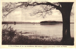 A 3 Km De Dieuze, 27 Km De Circonférence. Le Plus Grand étang à Carpes De France - Dieuze