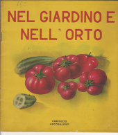 C1248 - Albo Ill.Eugenio Gilardi - Collana Prescolastica : NEL GIARDINO E NELL'ORTO Ed. Carroccio Arcobaleno Anni '50 - Anciens
