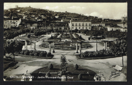 CASTELO BRANCO (Portugal) - Jardim Municipal Aspecto Geral - Castelo Branco
