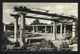 CASTELO BRANCO (Portugal) - Jardim Municipal - Pérgola - Castelo Branco