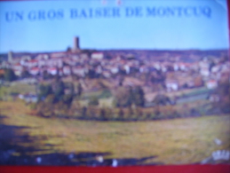 Un Gros Baiser De Montcuq - Montcuq  (Lot)  - Vue Générale - Montcuq