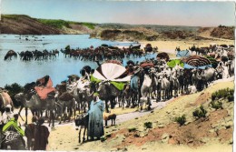 5288. Postal Caravanas Del Desiertos. EGYPT. Egipto - África