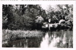 CHARENTE 16.  MANSLE LA CHARENTE ET LA CASCADE - Mansle