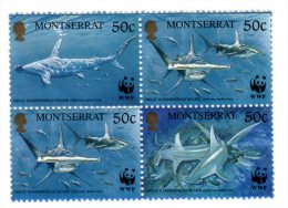 TIMBRE - MONTSERRAT - LOT 4 TIMBRES REQUINS / SQUALES - NEUFS - Yv. N°1016/19 - Montserrat