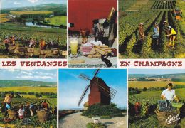 Cp , AGRICULTURE , Les Vendanges En Champagne , Multi-Vues - Vines
