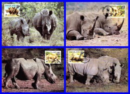 Série De 4 Cartes Maxima - Faune Protégée - Rhinocéros Blanc (Ceratotherium Simum) - Royaume Du Swaziland 1987 - Swaziland (1968-...)