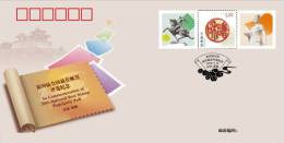 2010 CHINA 30th NATIONAL BEST STAMPS POLL COMM.COVER - Lettres & Documents