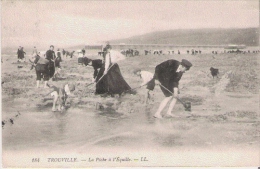 TROUVILLE 184 LA PECHE A L'EQUILLE  1908 - Trouville