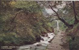 Railway Postcard LNWR LLANBERIS Falls Caernarvonshire Water Fall - Caernarvonshire