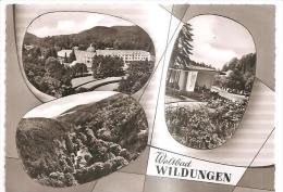 67896) Cartolina Di Wildungen - Panorama - Viaggiata - Bad Wildungen